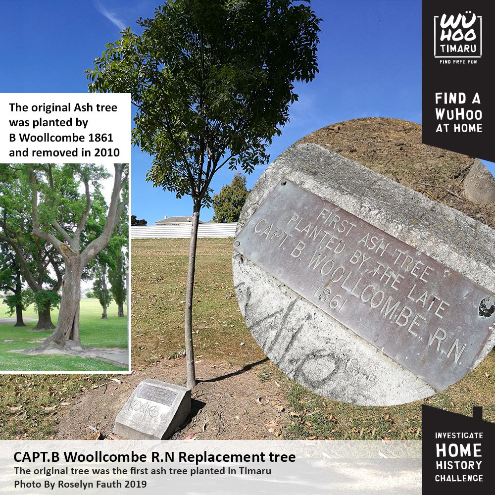 WuHoo InvestigateYourHomeChallenge WoolcombesHouse AshburyPark 061 WoollcombeTree