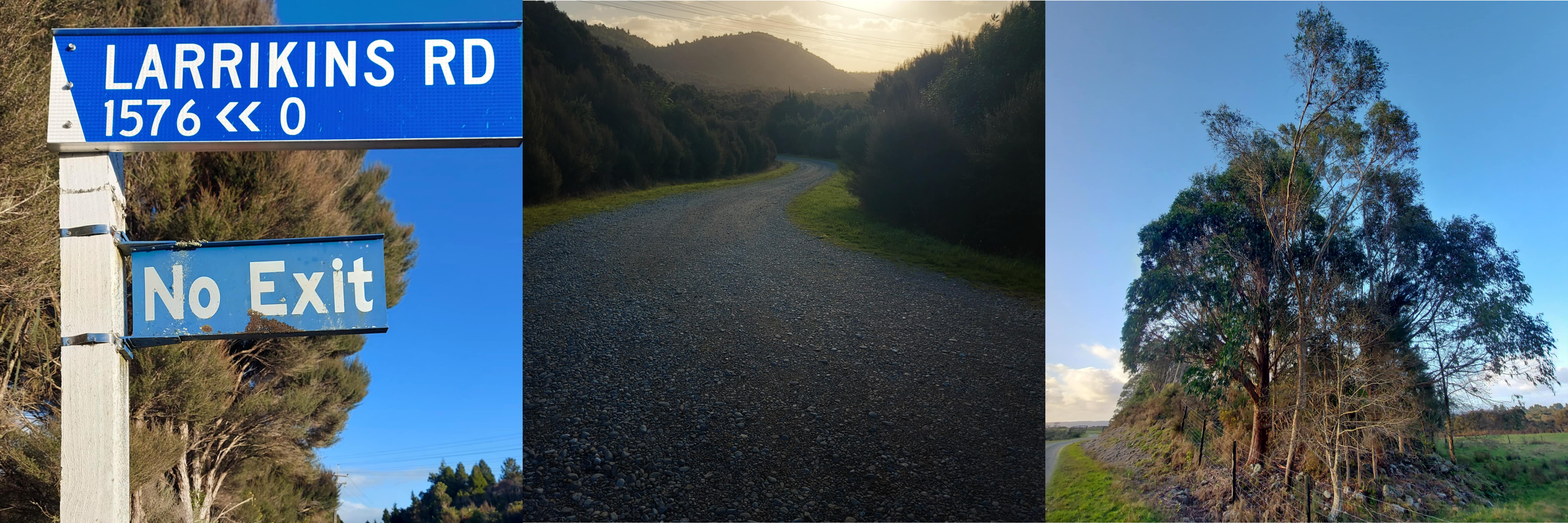 Larrikins Road West Coast near Kumara tailings on the side of the road