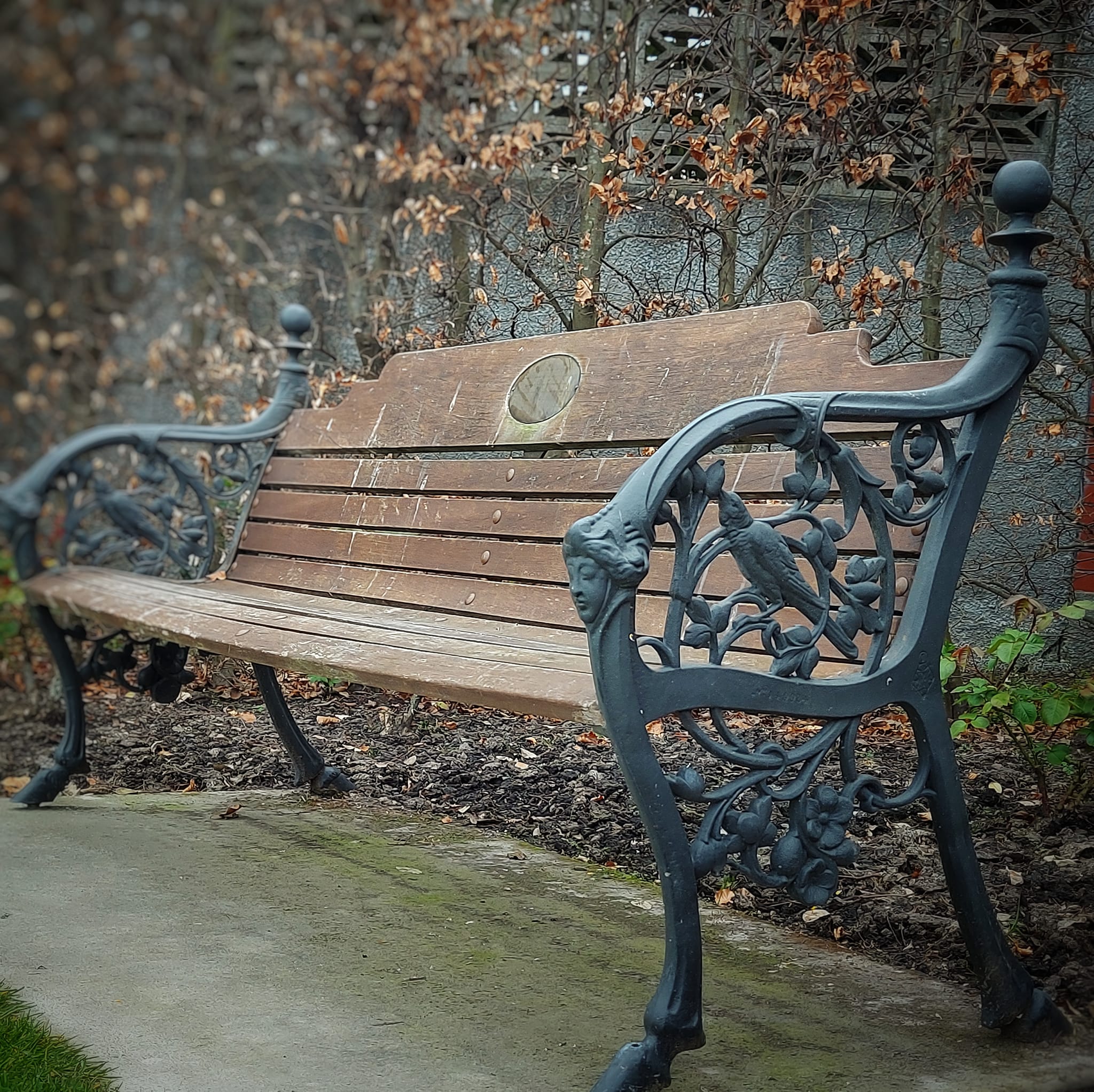 Anderson Garden park bench timaru botanic gardens