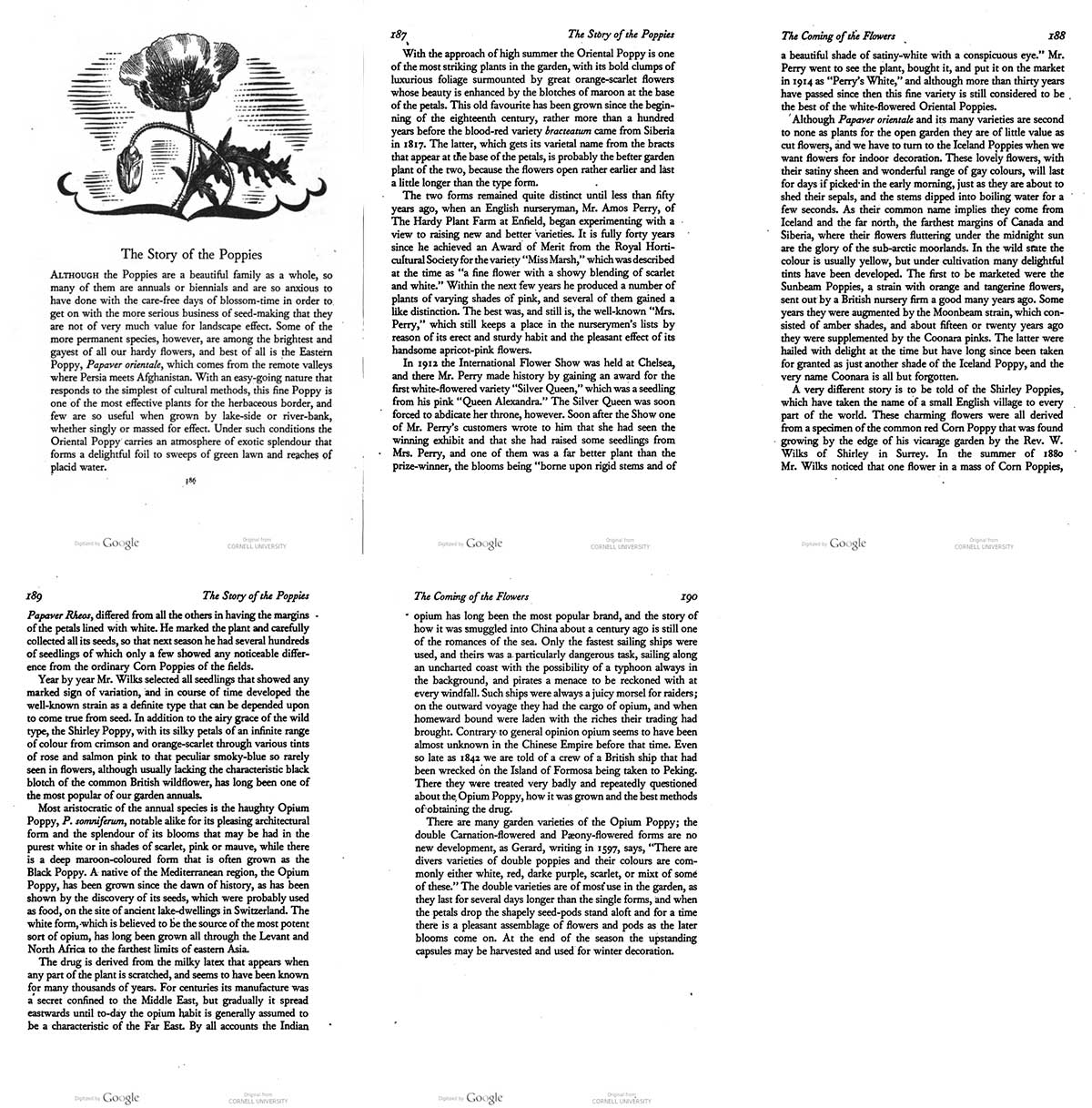 Andersons Poppy Chapter from The Coming of Flowers