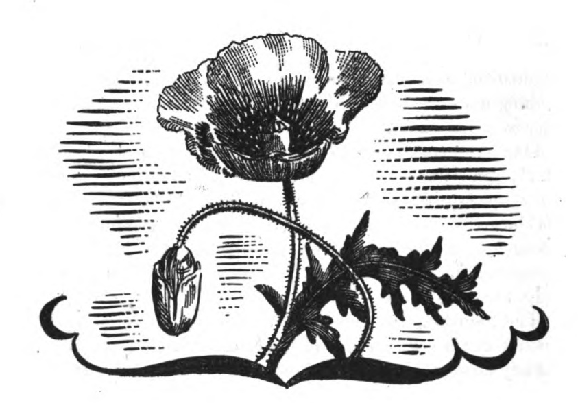 Andersons Story of the Poppies