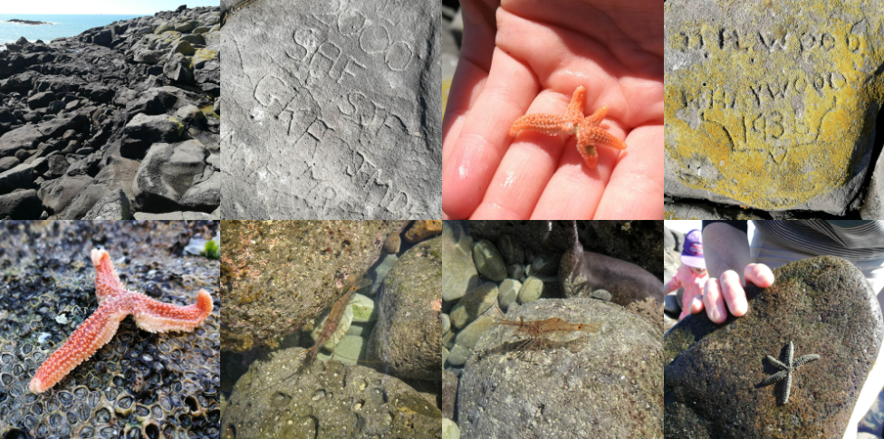 Dashing Rocks free fun adventures in Timaru Fauth Family Photos RFauth 3