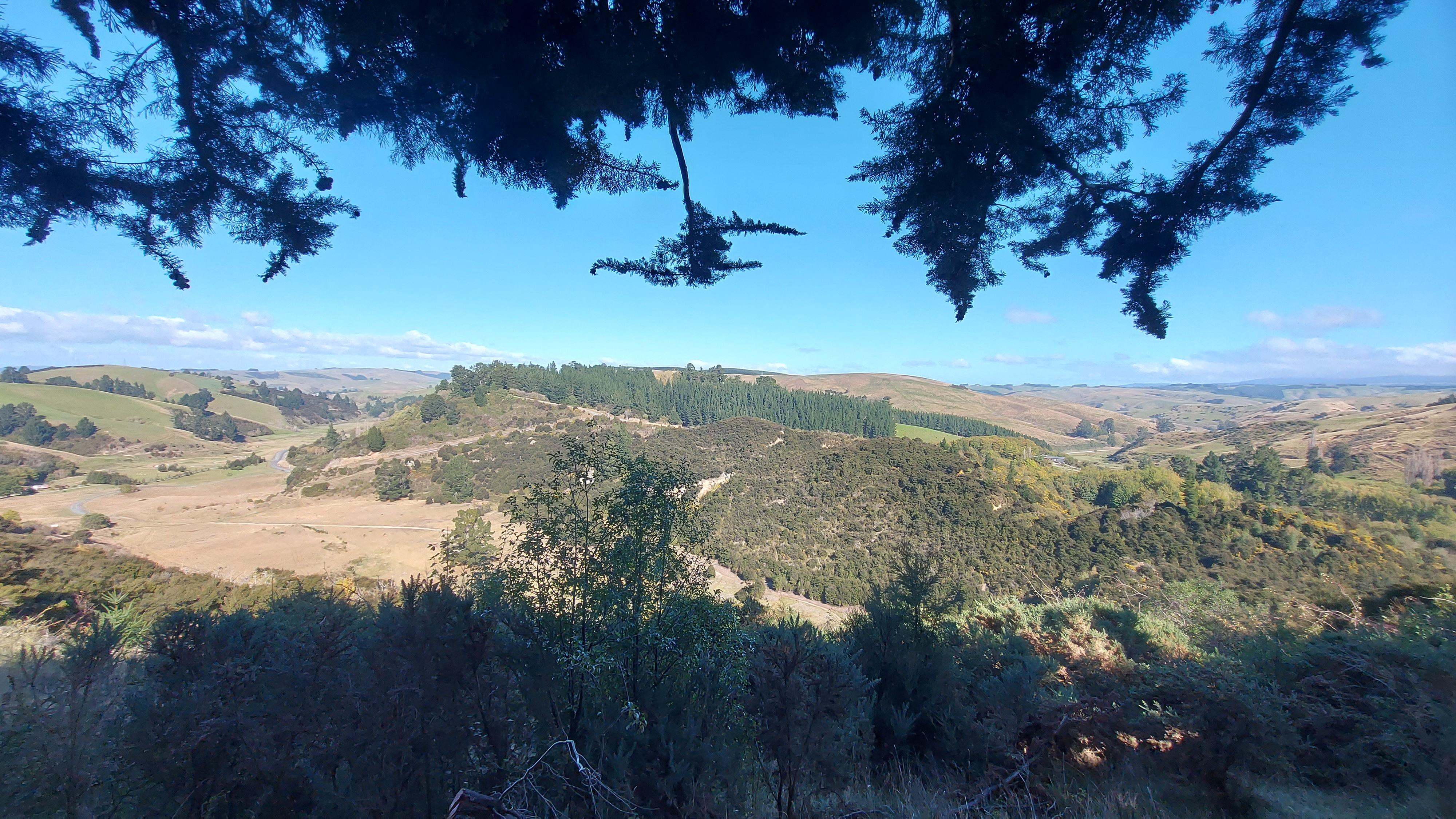 Gabriels Gully Photo Roselyn Fauth 2025