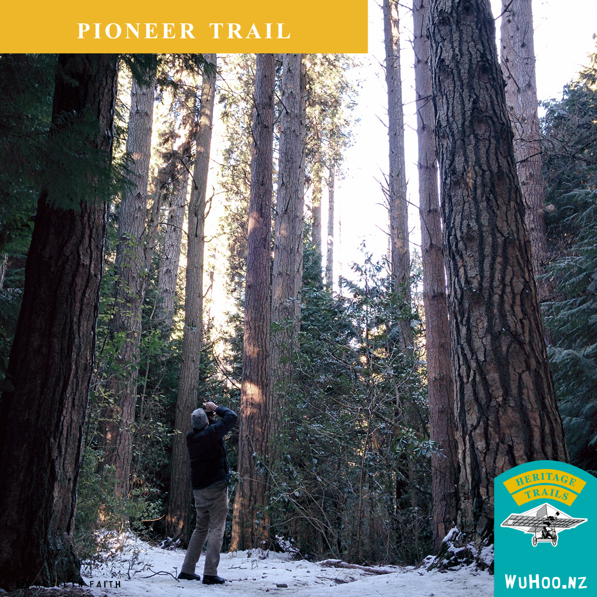 HeritageTrail Logo Watermark PioneerTrail TalbotForrest 100