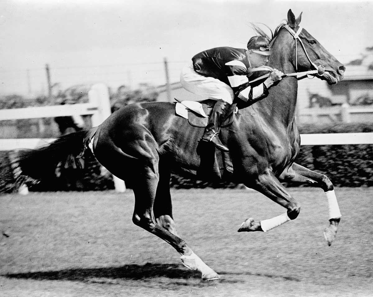 MA25110750 Phar Lap 1200w