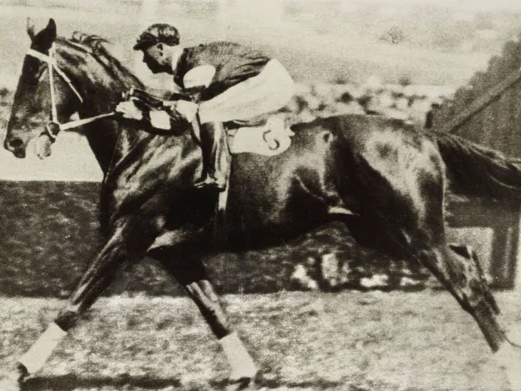 Phar Lap galloping 1920s Te Papa O 009450 lowres