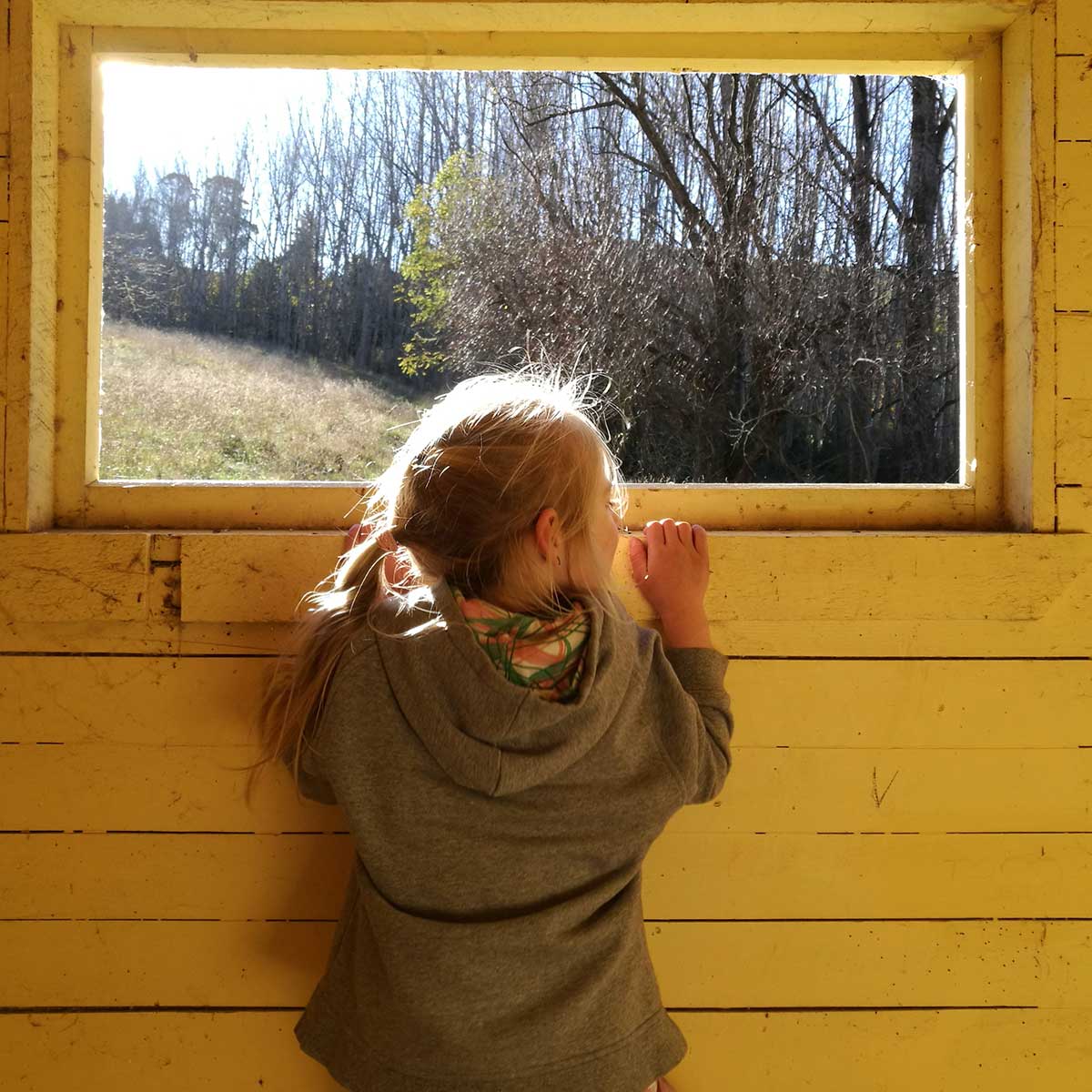 Pioneer Park Conservation Area Trees Trails and History WuHoo Timaru Roselyn Fauth 2022