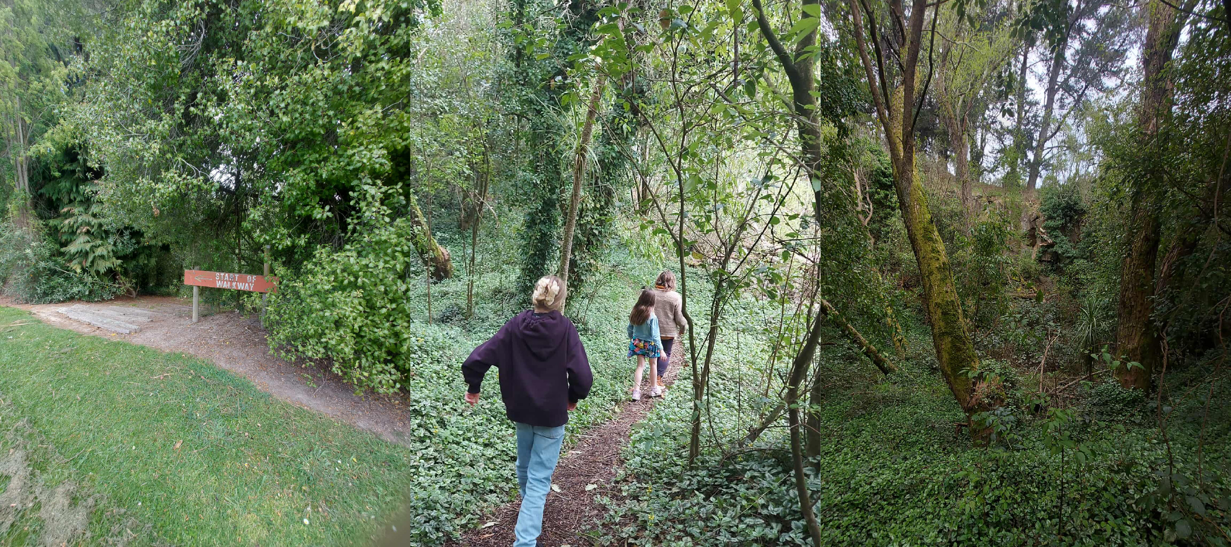 QuarryWalkway to Centennial Park 031025 RoselynFauth Walking