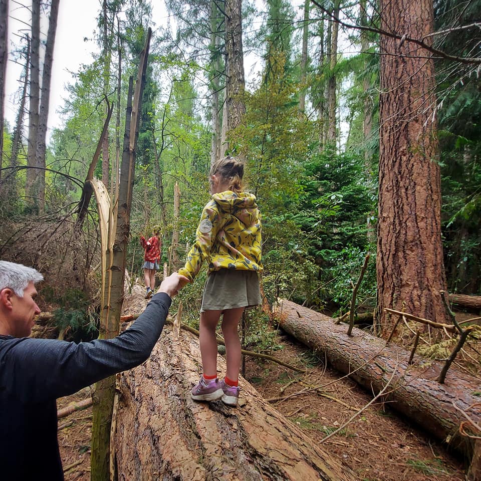 Raincliff Forest Roselyn Fauth 1