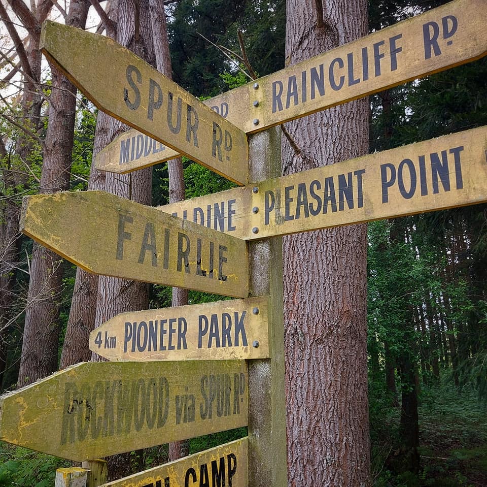 Raincliff Forest Roselyn Fauth 4