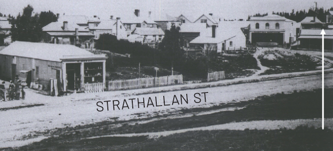 Strathallan St pre 1868 fire Hocken Collections 23481