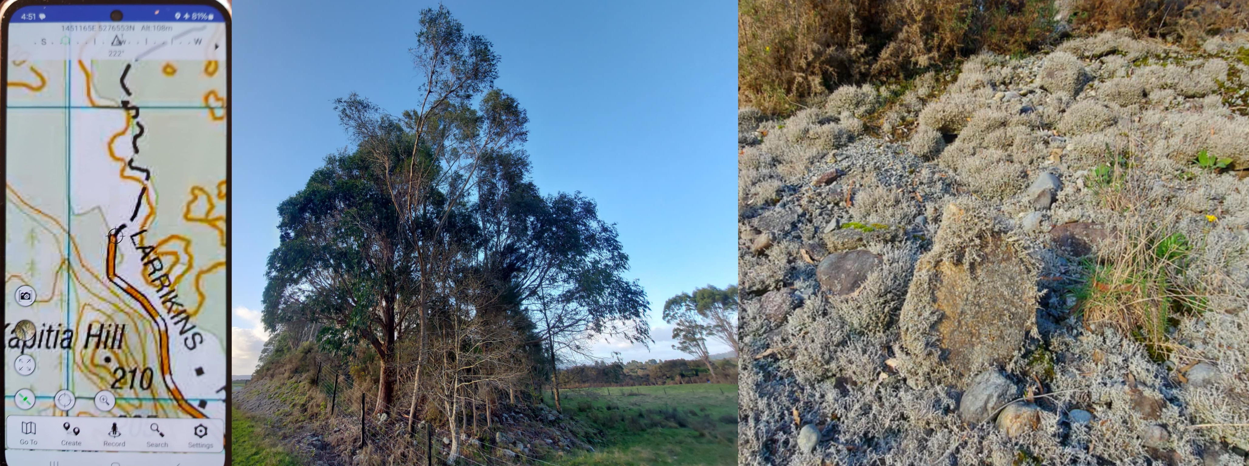 Tailings On Larrikins Road with map