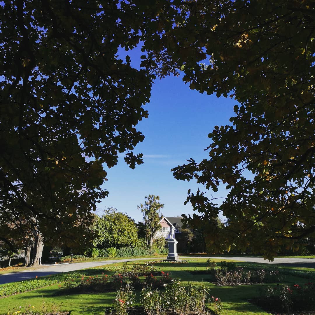 The Timaru Botanic Gardens Oldest Tree 1