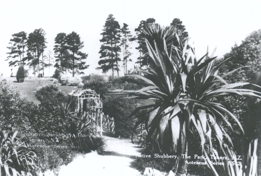 Rustic Bridge Timaru botanic Gardens Hocken Library