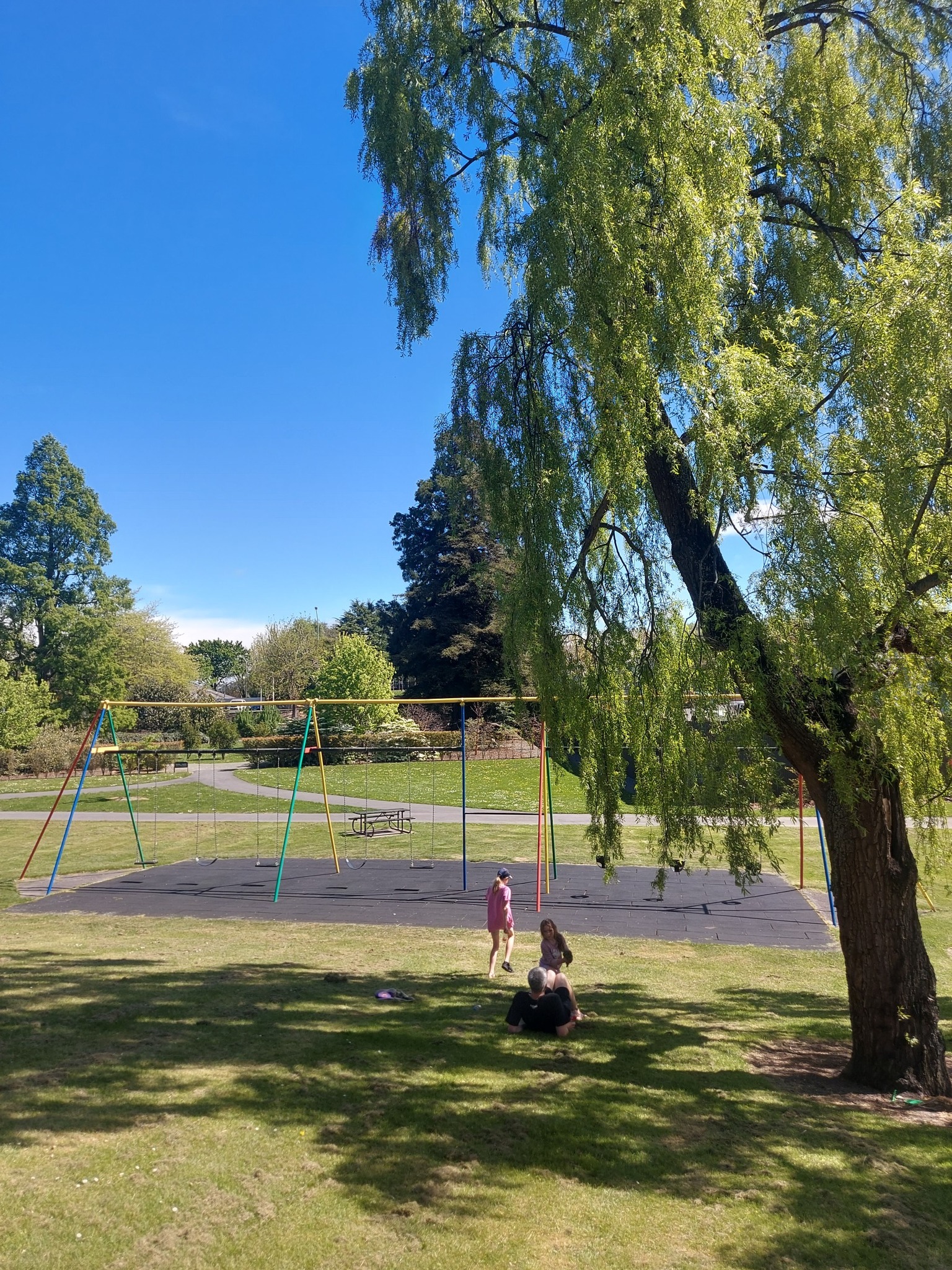 Timaru Botanic Gardens Playground could this be a Faulkner Swing