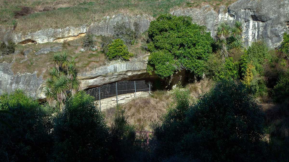 Opihi Rock Art Site view to the rock art 2025 G Cloake