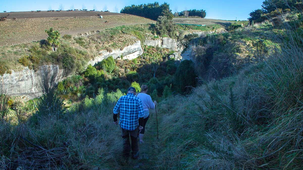 Opihi Rock Art Site walking back from the view to the river 2025 Geoff Cloake