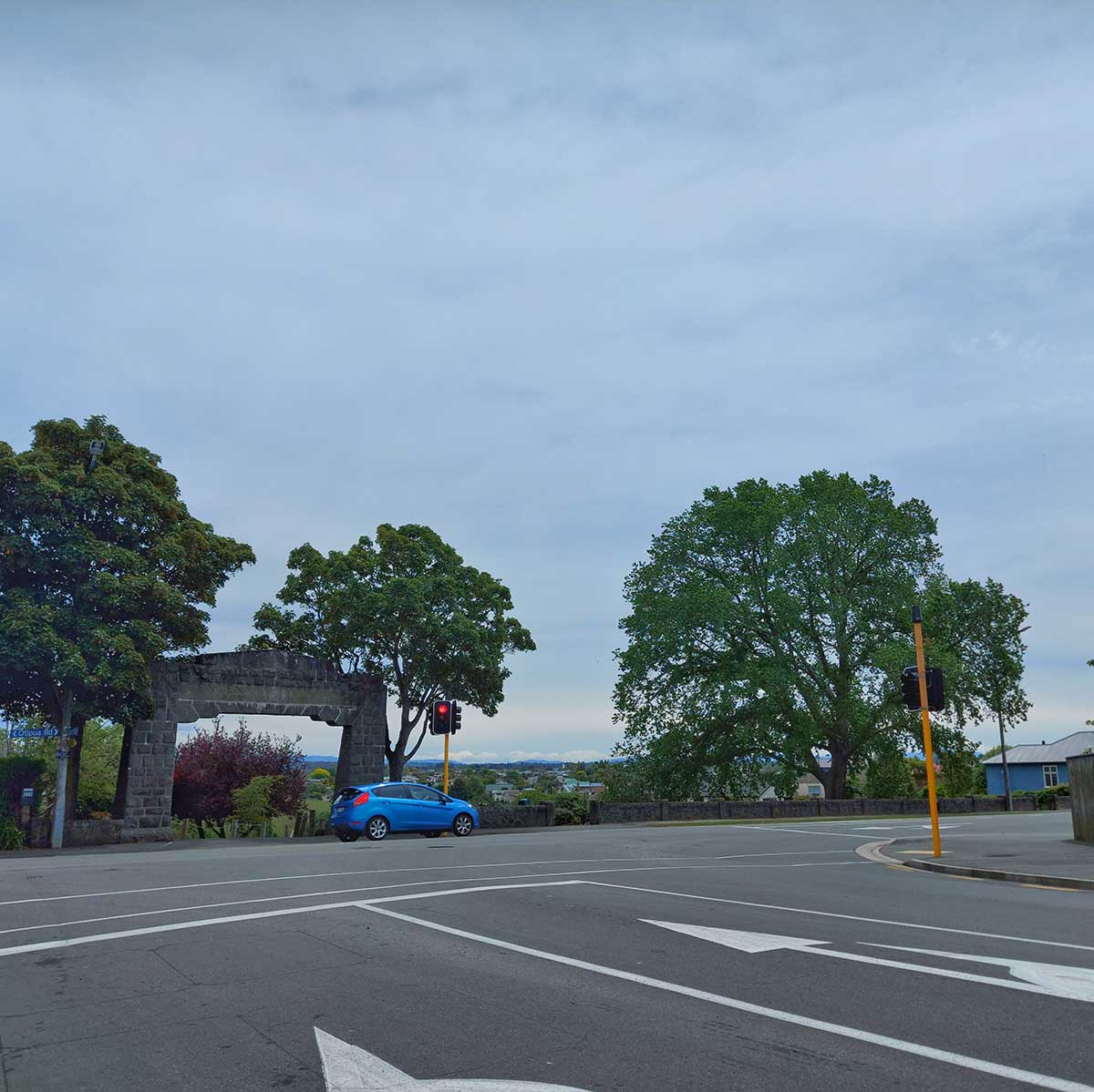 WuHooTimaru Trees Bowker Elm 00