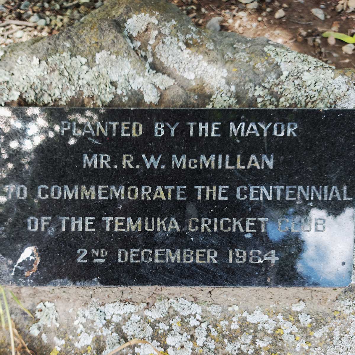 WuHooTimaru Trees Cricket 