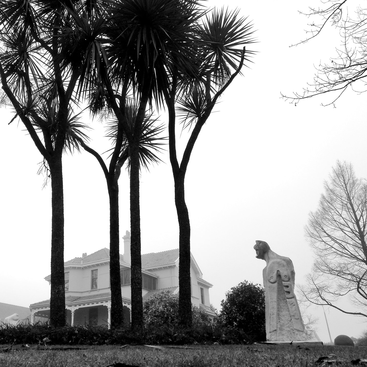 Trees at the Aigantighe Art Gallery Photo Roselyn Fauth 2