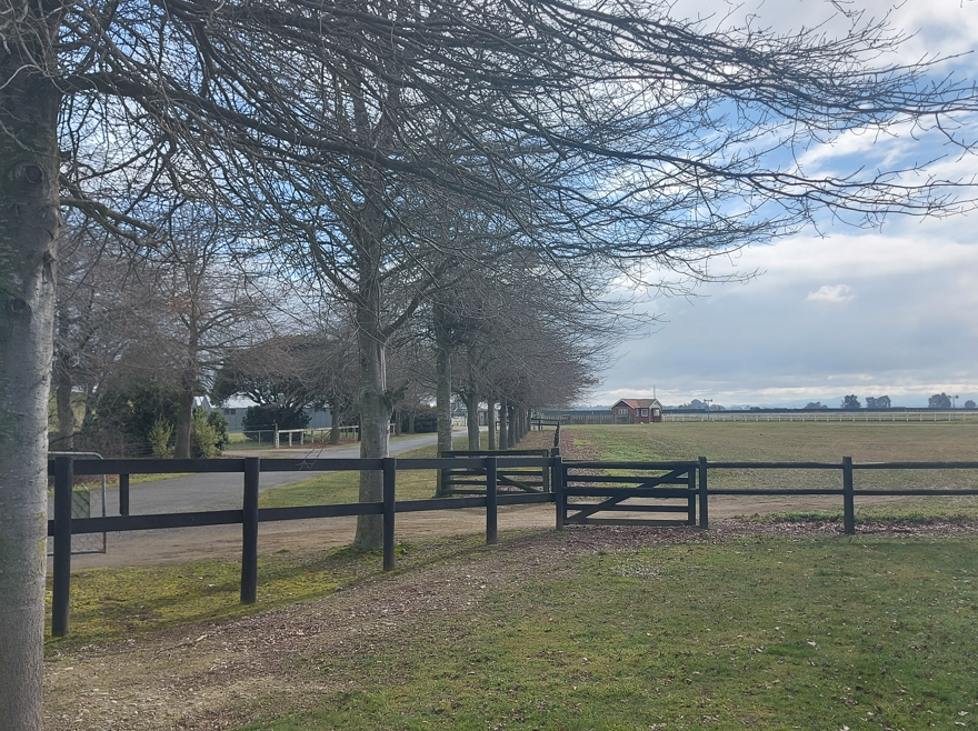 View from the Phar Lap Monument at the race course 2026 Photo Roselyn Fauth WuHoo timaru