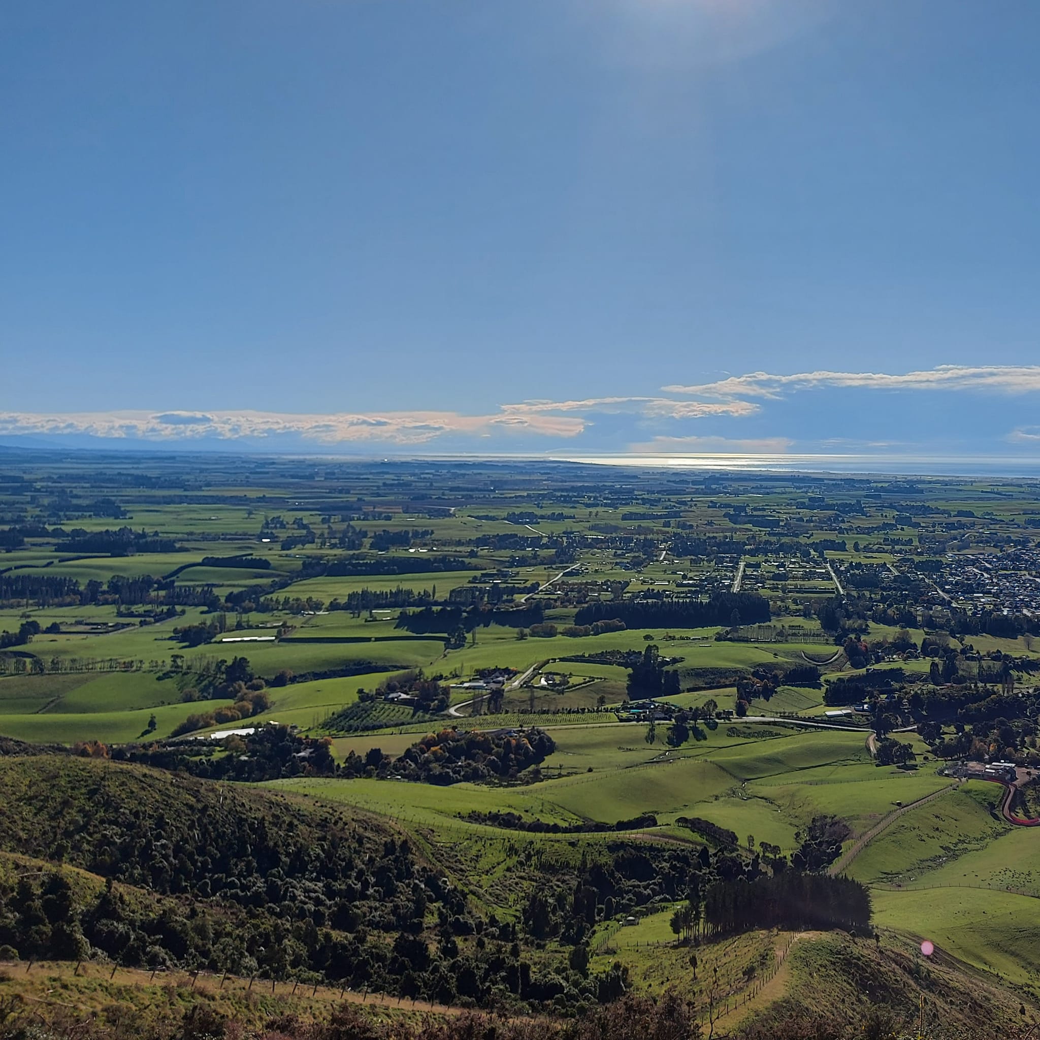 Waimate