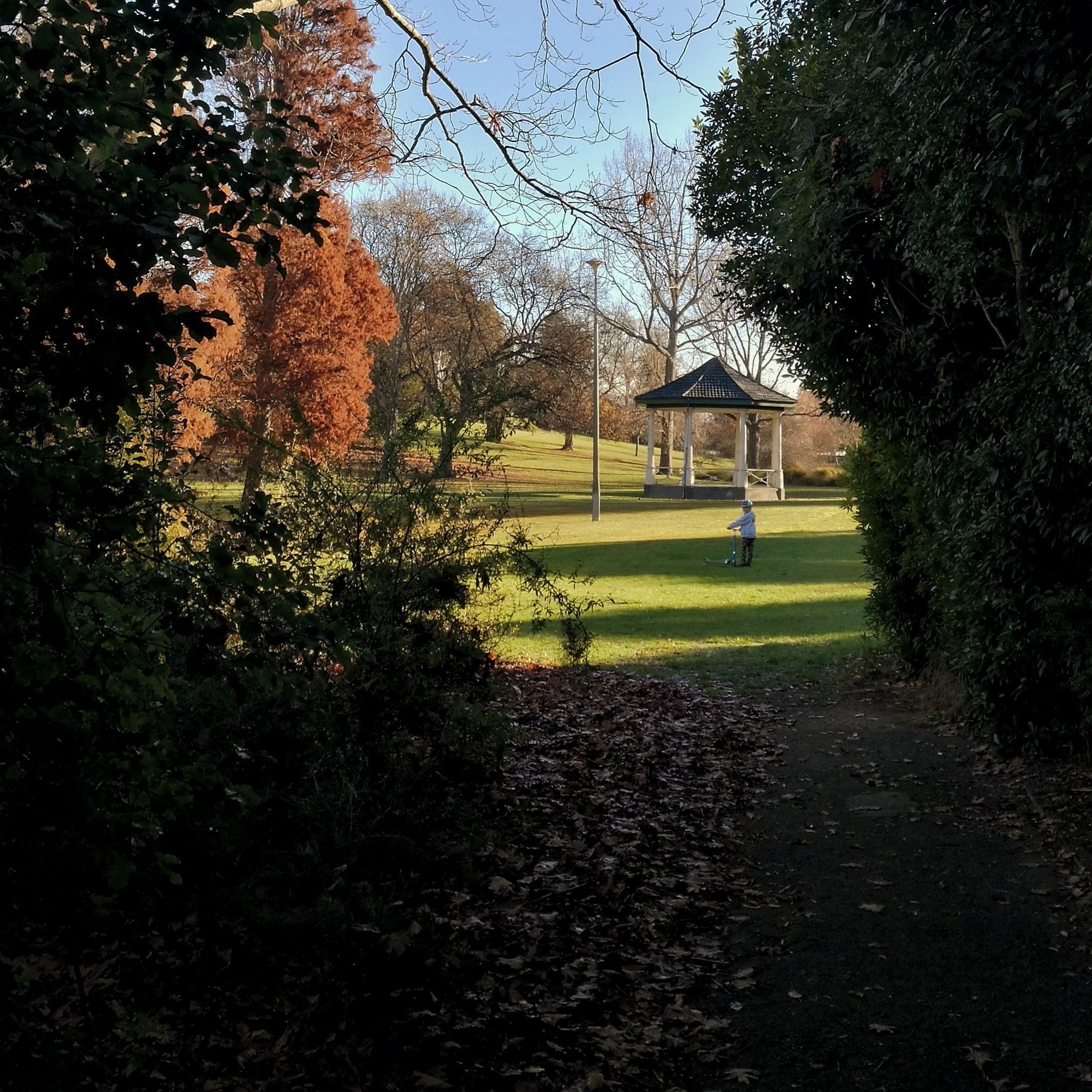 Timaru Botanic Gardens Band Rotunda RFauth 2020 view from native bush