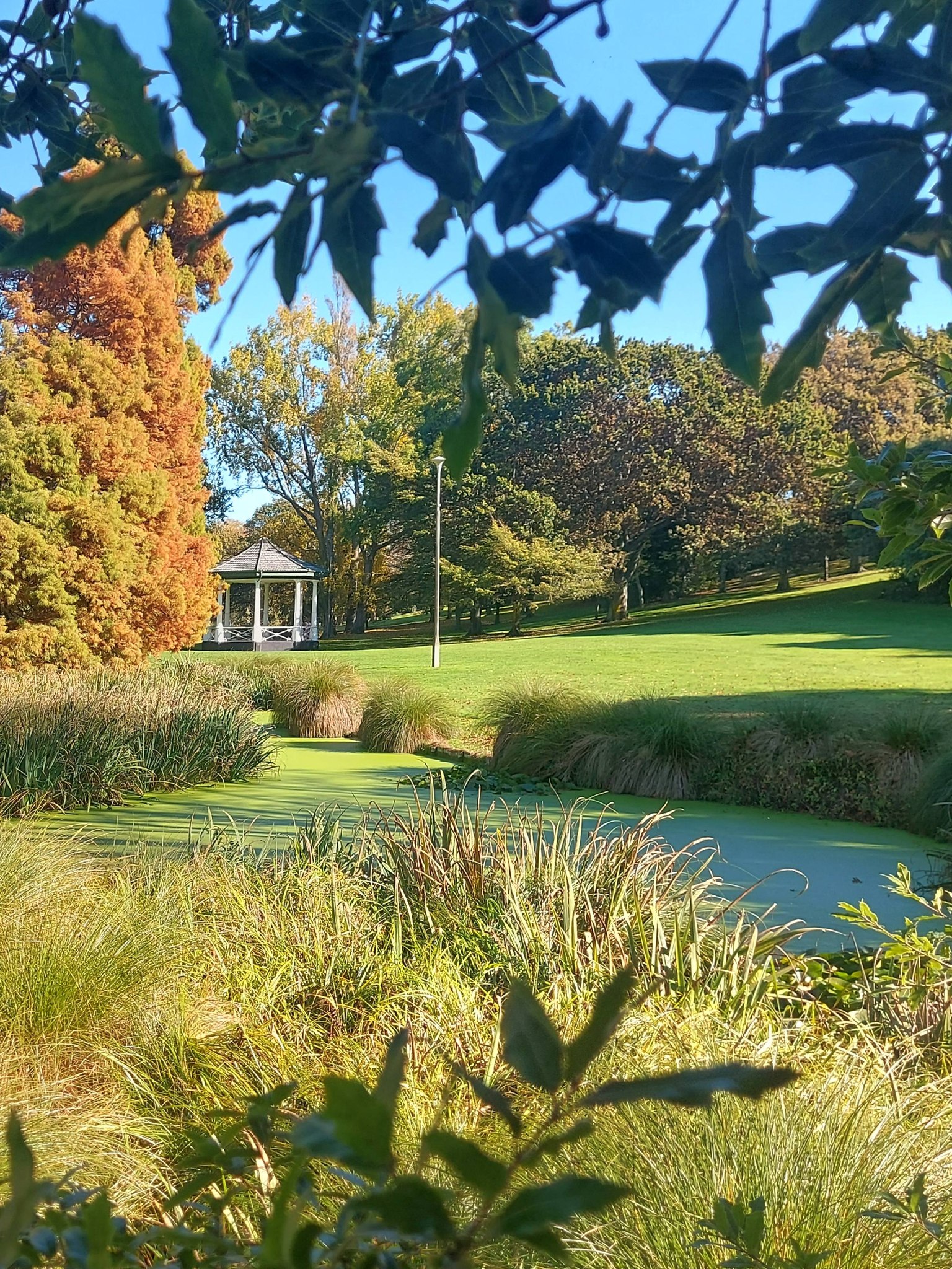 Timaru Botanic Gardens Band Rotunda RFauth 2026 view from pond