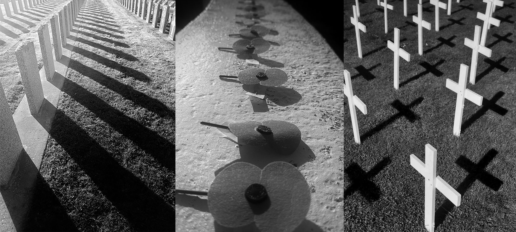 WuHoo Timaru War Tour Photos RFauth 2026