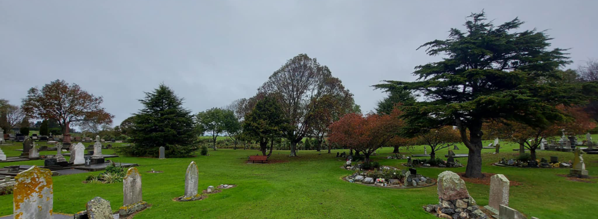 Looking out to the Pauper Grave area where government paid for peoples burials