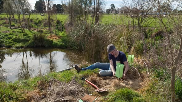 planting manuka